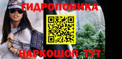 хмурый Бийск