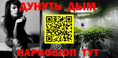 хмурый Бийск