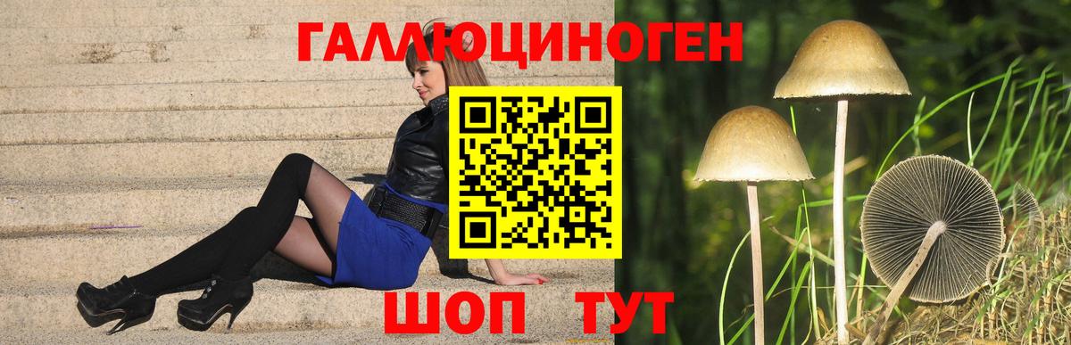 Псилоцибиновые грибы мицелий  Галлюциногенные грибы GOLDEN TEACHER  Кириши  Вход с VPN 